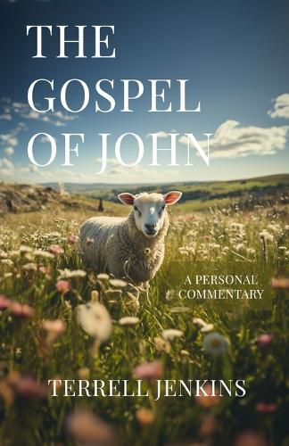 Cover image for The Gospel of John