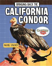 Cover image for Bringing Back the California Condor