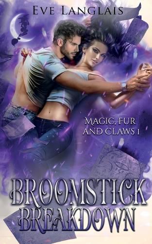 Cover image for Broomstick Breakdown