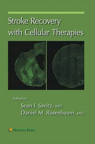 Cover image for Stroke Recovery with Cellular Therapies