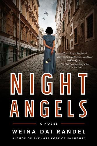 Cover image for Night Angels: A Novel