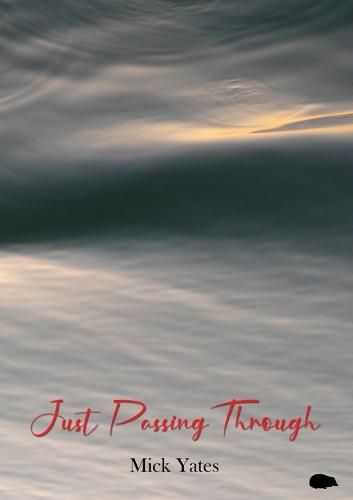 Cover image for Just Passing Through