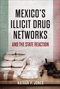 Cover image for Mexico's Illicit Drug Networks and the State Reaction