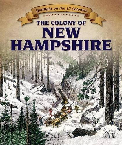 Cover image for The Colony of New Hampshire