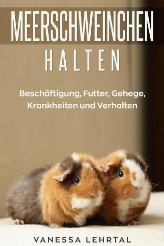 Meerschweinchen halten: Beschaftigung, Futter, Gehege, Krankheiten und Verhalten