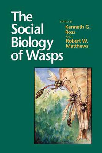 Cover image for The Social Biology of Wasps