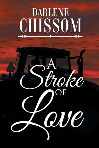 Cover image for A Stroke of Love