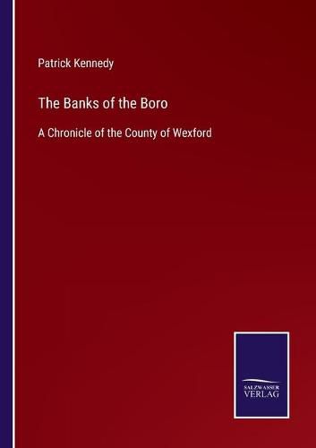 Cover image for The Banks of the Boro: A Chronicle of the County of Wexford