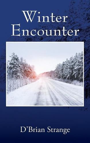 Cover image for Winter Encounter