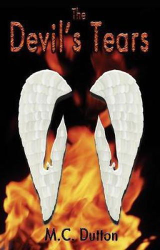 Cover image for The Devil's Tears