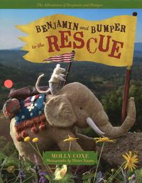 Cover image for Benjamin and Bumper to the Rescue