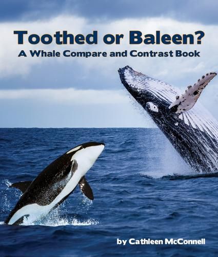 Cover image for Toothed or Baleen? a Whale Compare and Contrast Book