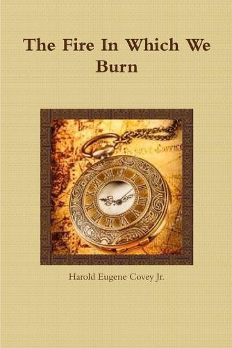 Cover image for The Fire in Which We Burn