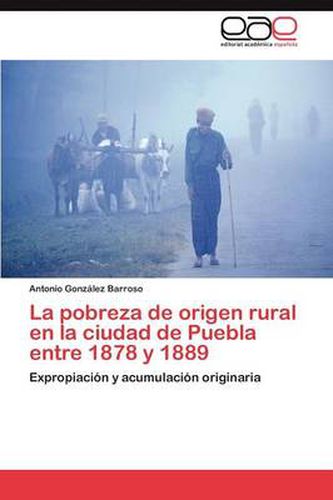 Cover image for La Pobreza de Origen Rural En La Ciudad de Puebla Entre 1878 y 1889