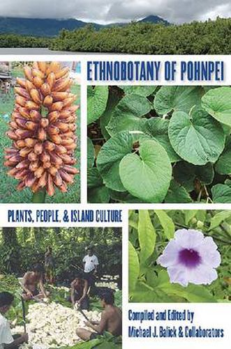 Cover image for Ethnobotany of Pohnpei: Plants, People, and Island Culture