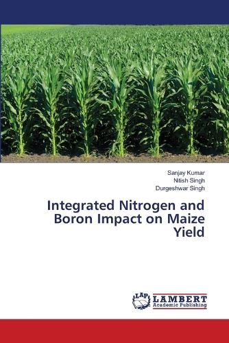 Integrated Nitrogen and Boron Impact on Maize Yield