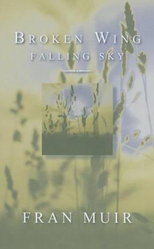 Cover image for Broken Wing, Fallen Sky