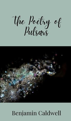 Cover image for The Poetry of Pulsars