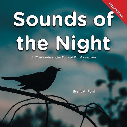 Cover image for Sounds of the Night: A Child's Interactive Book of Fun & Learning