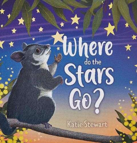Cover image for Where Do the Stars Go?