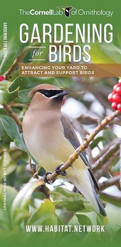 Cover image for Gardening for Birds: Enhancing Your Yard to Attract and Support Birds