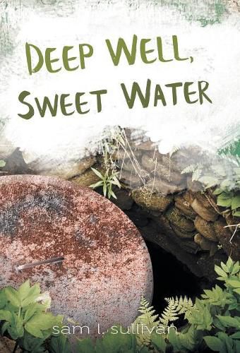 Cover image for Deep Well, Sweet Water