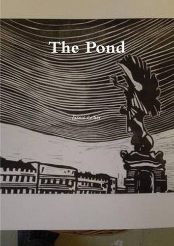 Cover image for The Pond