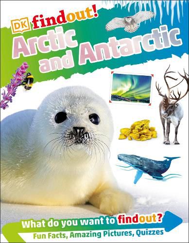 Cover image for DKFindout! Arctic and Antarctic