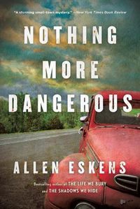 Cover image for Nothing More Dangerous