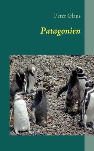 Cover image for Patagonien: Argentinien & Chile
