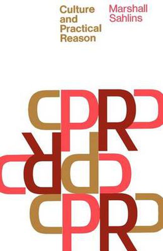 Cover image for Culture and Practical Reason