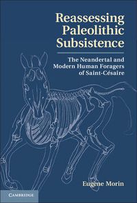 Cover image for Reassessing Paleolithic Subsistence: The Neandertal and Modern Human Foragers of Saint-Cesaire