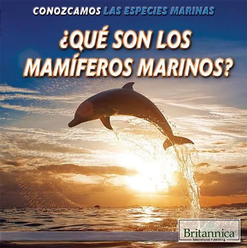 Cover image for ?Que Son Los Mamiferos Marinos? (What Are Sea Mammals?)