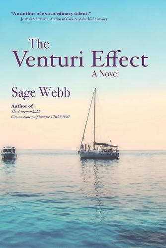 Cover image for The Venturi Effect