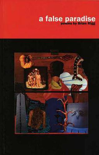 Cover image for A False Paradise
