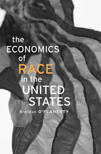 Cover image for The Economics of Race in the United States