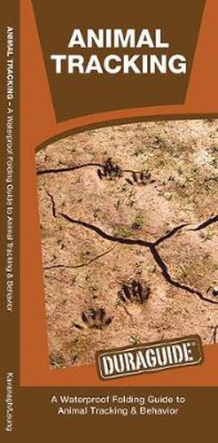 Cover image for Animal Tracking: A Waterproof Folding Guide to Animal Tracking & Behavior