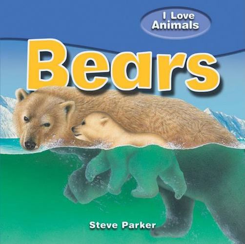 Cover image for Bears