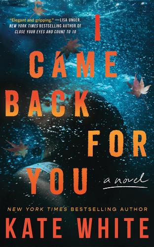 Cover image for I Came Back for You