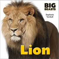 Cover image for Lion