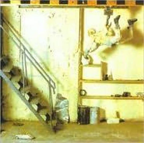 Cover image for Peter Basseler