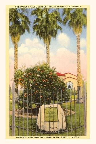Cover image for The Vintage Journal Parent Orange Tree, Riverside, California
