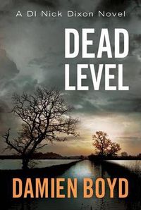 Cover image for Dead Level