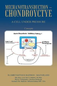 Cover image for Mechanotransduction - Chondroyctye: A Cell Under Pressure