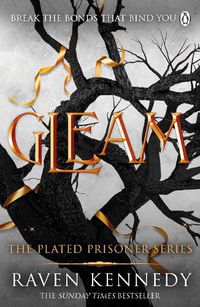 Cover image for Gleam: The TikTok fantasy sensation that's sold over half a million copies