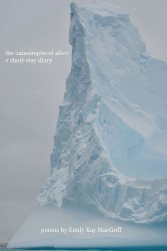 Cover image for The catastrophe of after