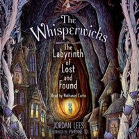 Cover image for The Labyrinth of Lost and Found