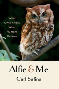 Cover image for Alfie and Me