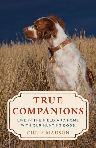 Cover image for True Companions
