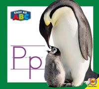 Cover image for Pp